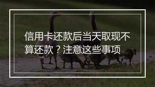 信用卡还款后当天取现不算还款？注意这些事项