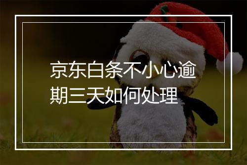 京东白条不小心逾期三天如何处理