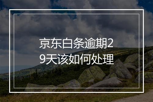 京东白条逾期29天该如何处理
