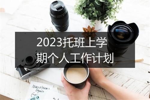 2023托班上学期个人工作计划