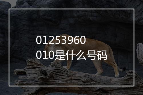 01253960010是什么号码