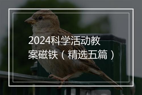 2024科学活动教案磁铁（精选五篇）