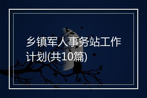 乡镇军人事务站工作计划(共10篇)