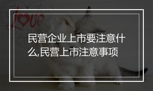民营企业上市要注意什么,民营上市注意事项