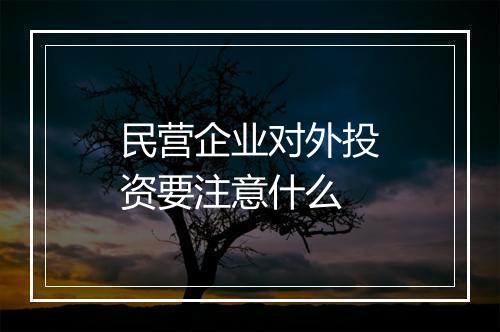 民营企业对外投资要注意什么