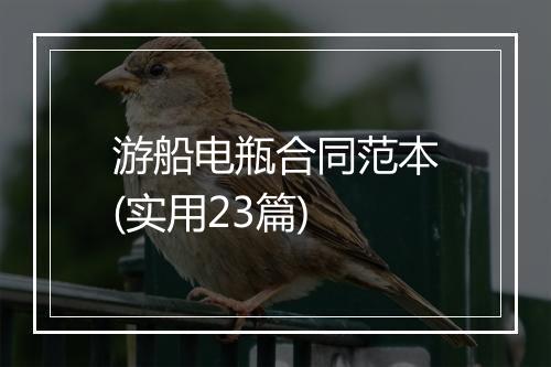 游船电瓶合同范本(实用23篇)