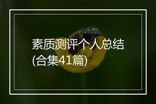 素质测评个人总结(合集41篇)