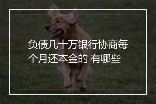 负债几十万银行协商每个月还本金的 有哪些