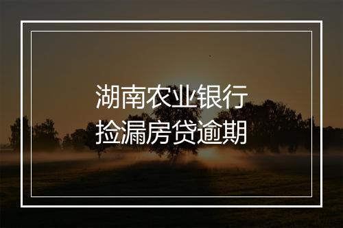 湖南农业银行捡漏房贷逾期
