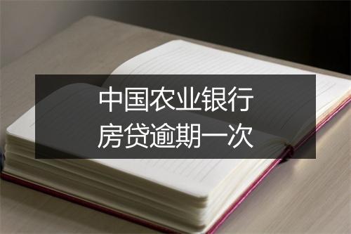 中国农业银行房贷逾期一次