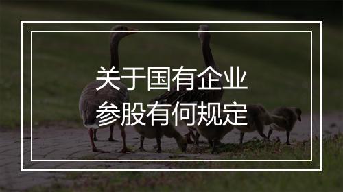 关于国有企业参股有何规定