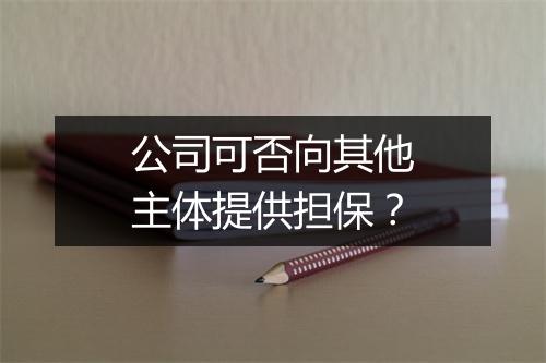 公司可否向其他主体提供担保？