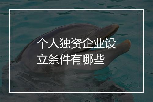 个人独资企业设立条件有哪些