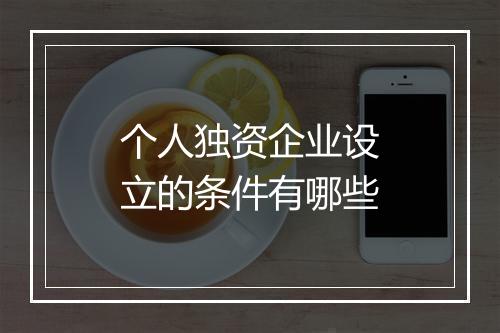 个人独资企业设立的条件有哪些