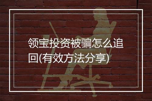 领宝投资被骗怎么追回(有效方法分享)