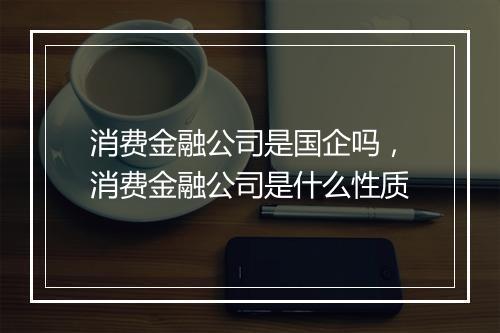 消费金融公司是国企吗，消费金融公司是什么性质
