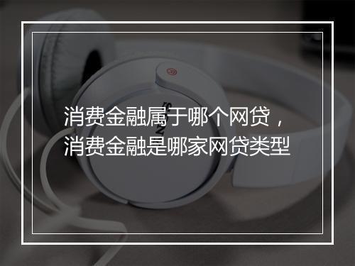 消费金融属于哪个网贷，消费金融是哪家网贷类型