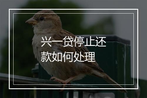 兴一贷停止还款如何处理