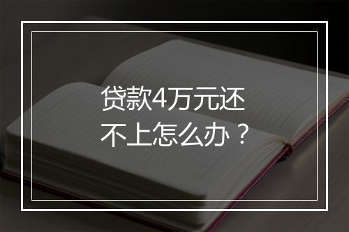 贷款4万元还不上怎么办？