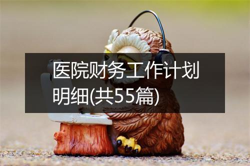 医院财务工作计划明细(共55篇)