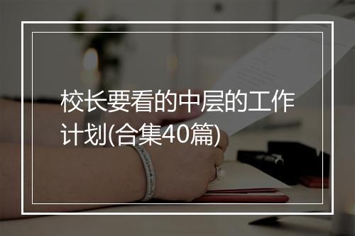 校长要看的中层的工作计划(合集40篇)