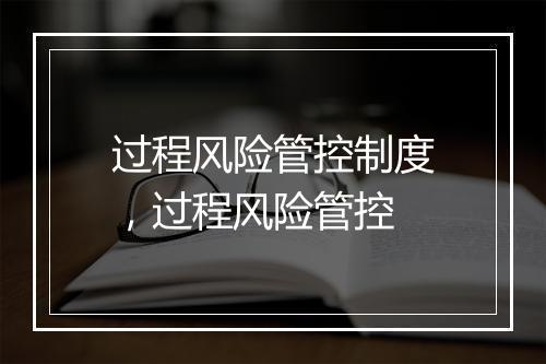 过程风险管控制度，过程风险管控