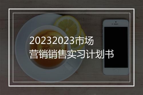 20232023市场营销销售实习计划书