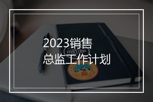 2023销售总监工作计划