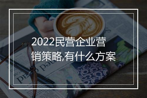 2022民营企业营销策略,有什么方案