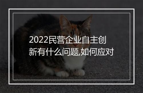 2022民营企业自主创新有什么问题,如何应对