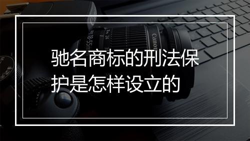 驰名商标的刑法保护是怎样设立的