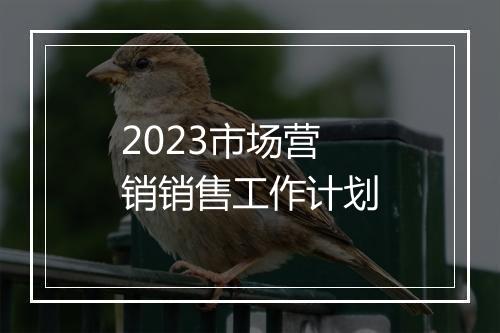 2023市场营销销售工作计划