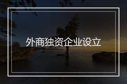 外商独资企业设立