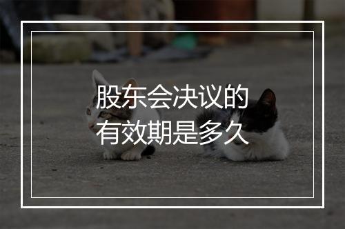 股东会决议的有效期是多久