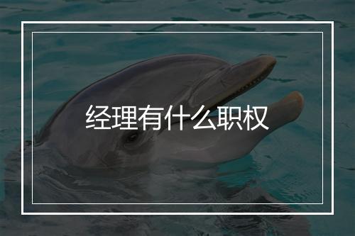 经理有什么职权