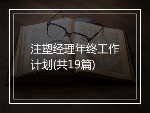 注塑经理年终工作计划(共19篇)