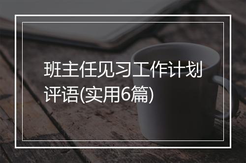 班主任见习工作计划评语(实用6篇)