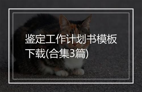 鉴定工作计划书模板下载(合集3篇)