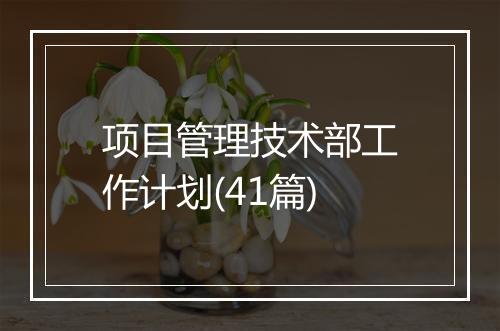 项目管理技术部工作计划(41篇)
