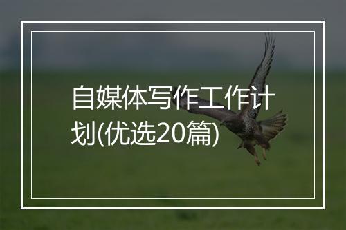 自媒体写作工作计划(优选20篇)