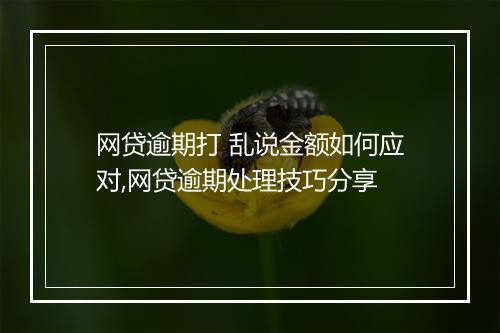 网贷逾期打 乱说金额如何应对,网贷逾期处理技巧分享