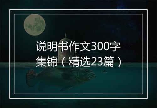 说明书作文300字集锦（精选23篇）