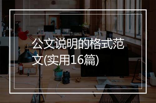 公文说明的格式范文(实用16篇)