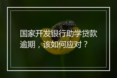 国家开发银行助学贷款逾期，该如何应对？