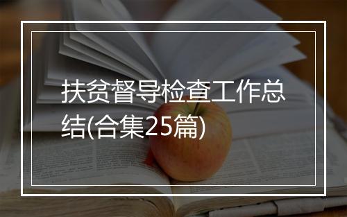 扶贫督导检查工作总结(合集25篇)