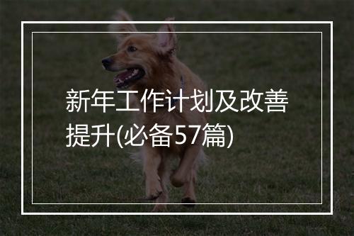 新年工作计划及改善提升(必备57篇)