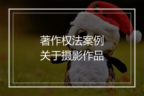 著作权法案例关于摄影作品