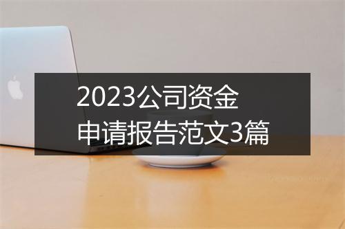2023公司资金申请报告范文3篇