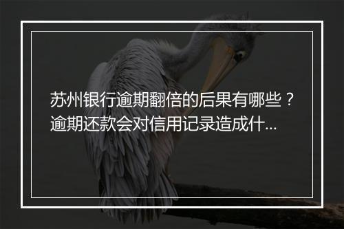 苏州银行逾期翻倍的后果有哪些？逾期还款会对信用记录造成什么影响？