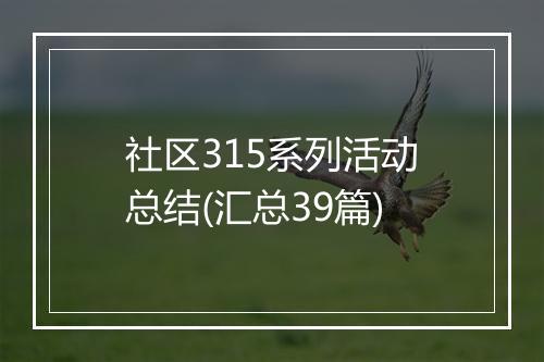 社区315系列活动总结(汇总39篇)